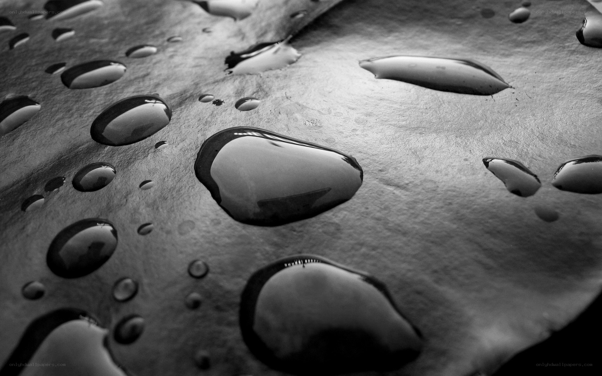 Water droplets on a dark surface