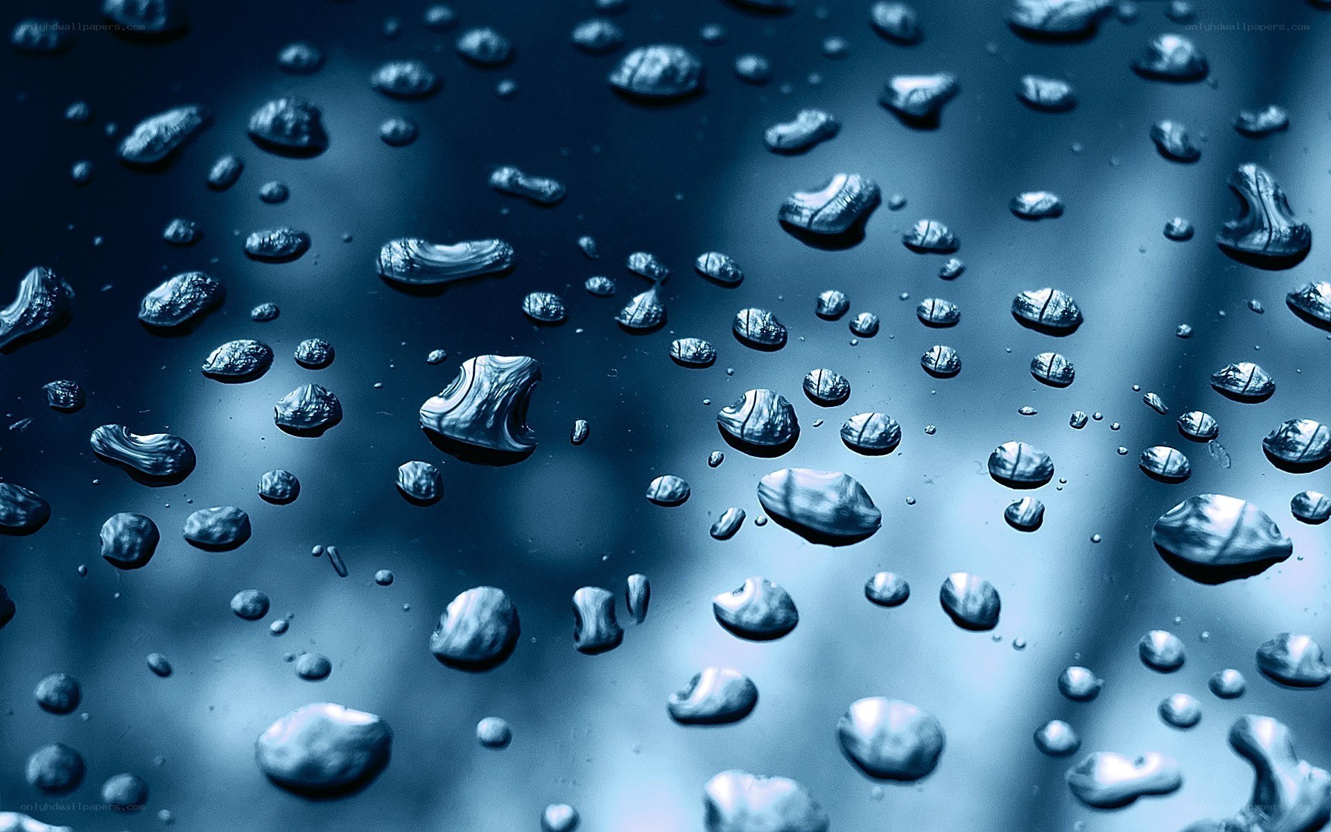 Water droplets on a dark surface