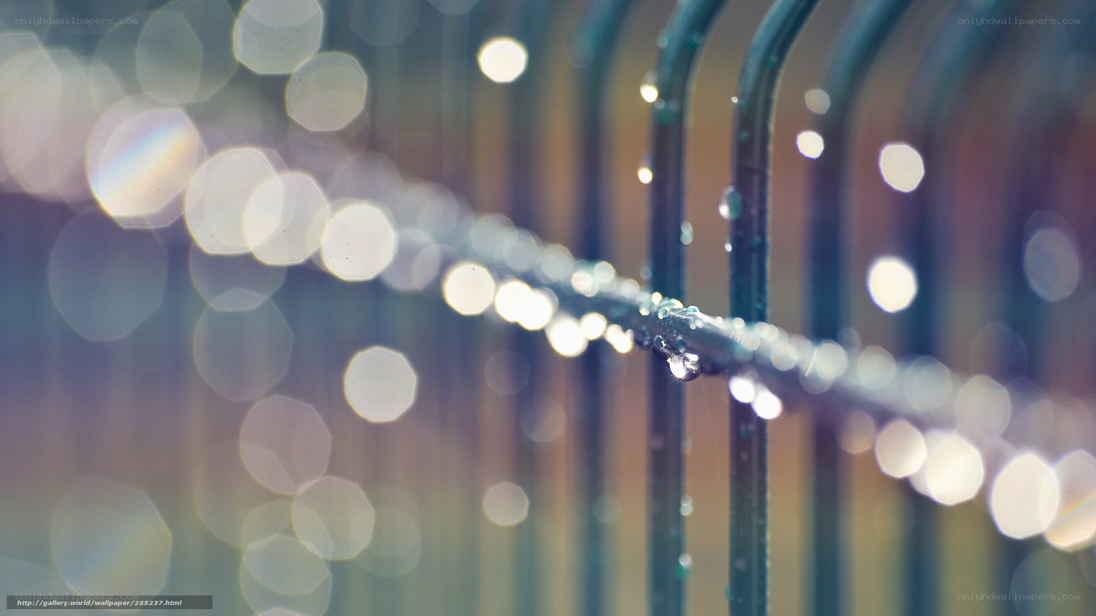 Water droplets on a fence