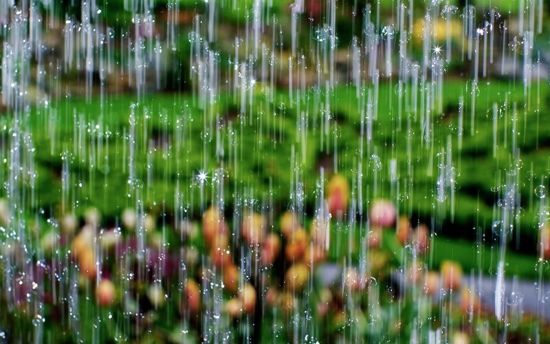Water droplets on a garden scene