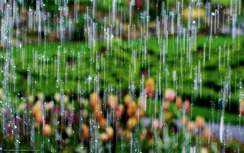 Water droplets on a garden scene