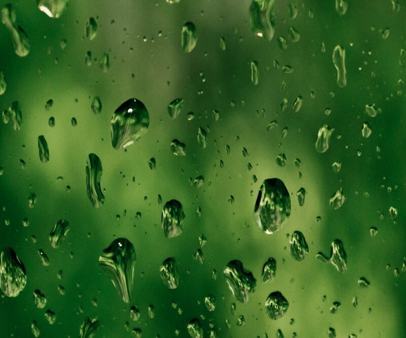Water droplets on a green surface