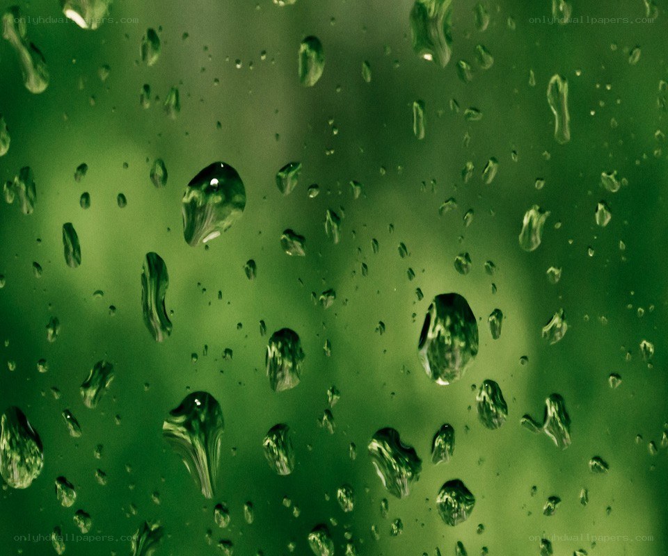 Water droplets on a green surface