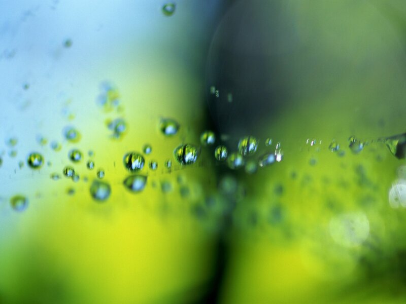 Water droplets on a green surface