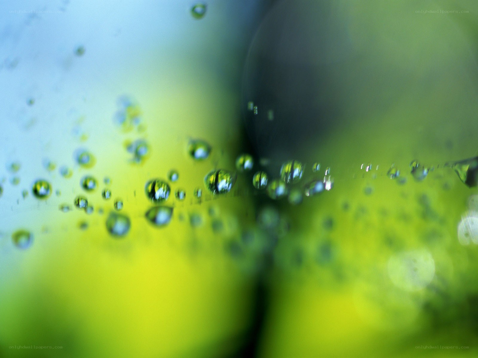 Water droplets on a green surface