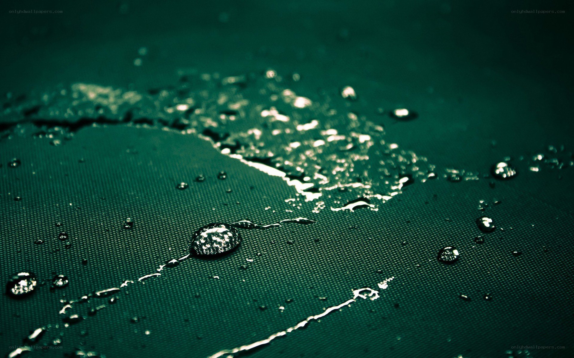 Water droplets on a green surface