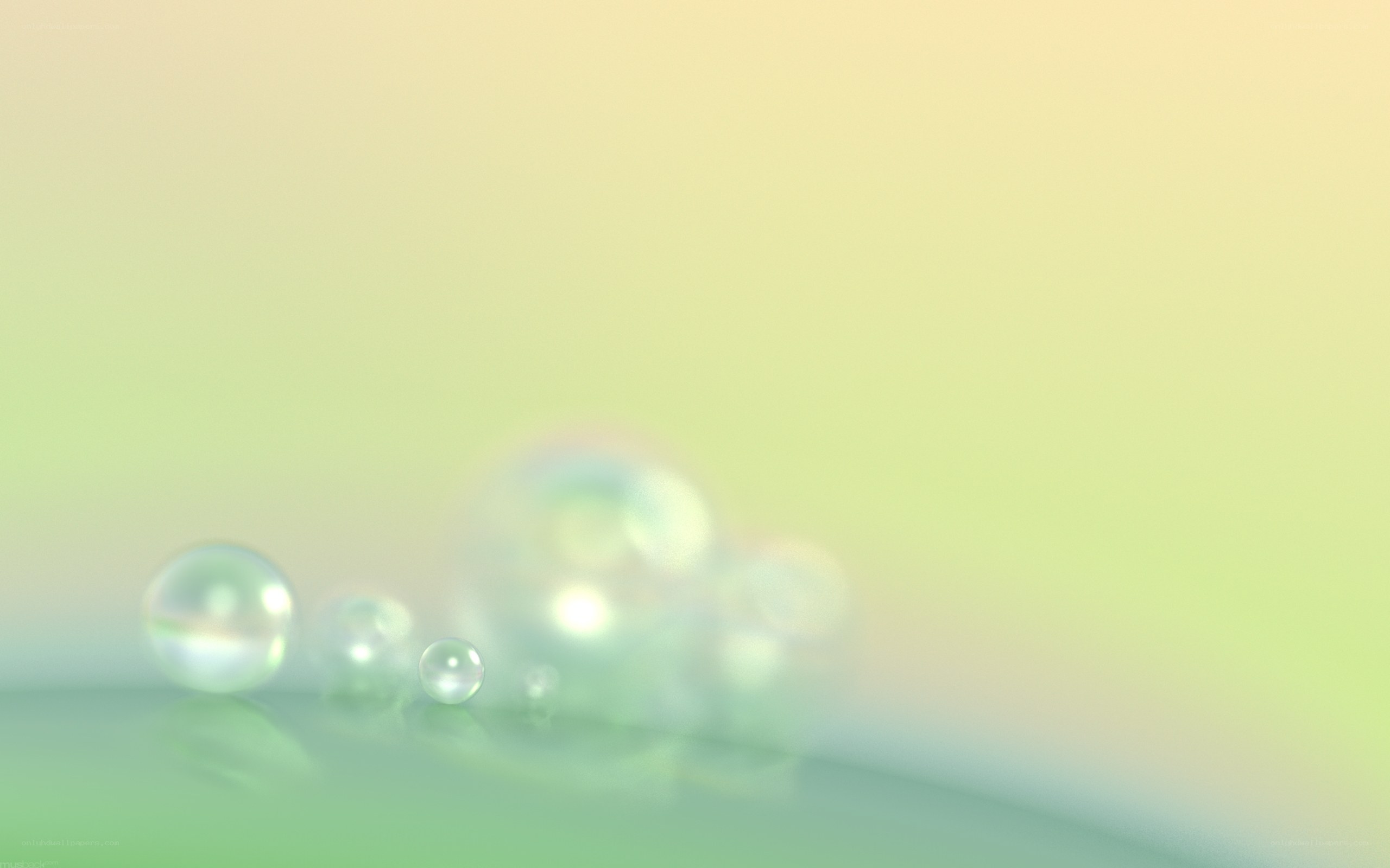 Water droplets on a green surface