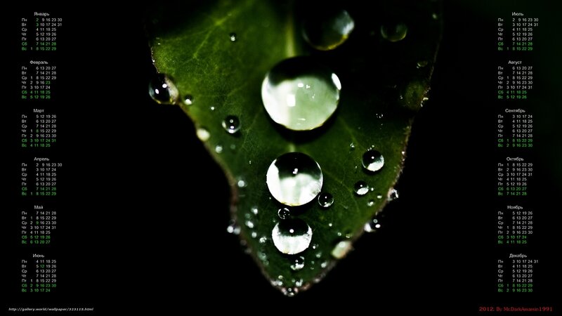 Water droplets on a leaf calendar