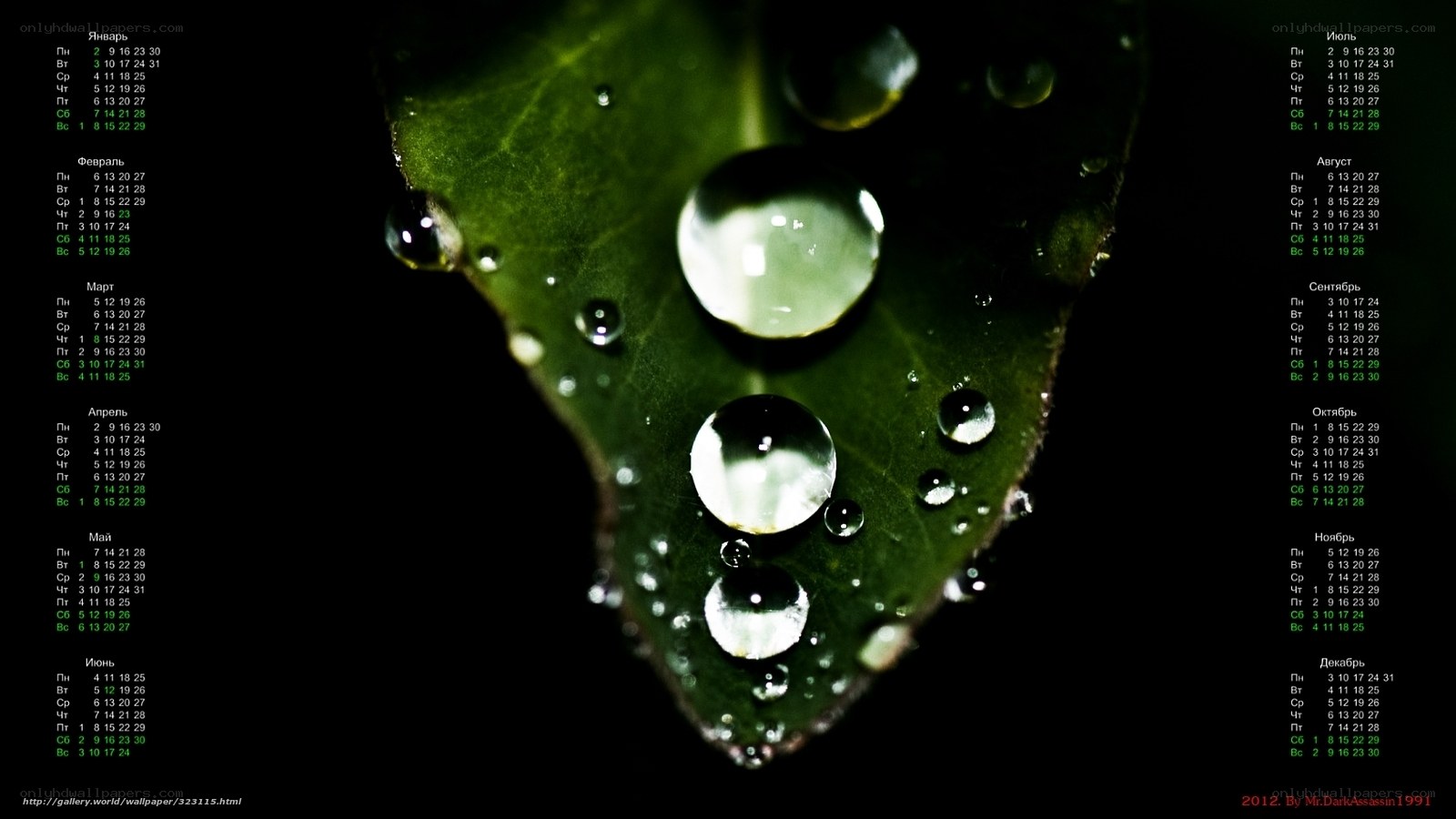 Water droplets on a leaf calendar