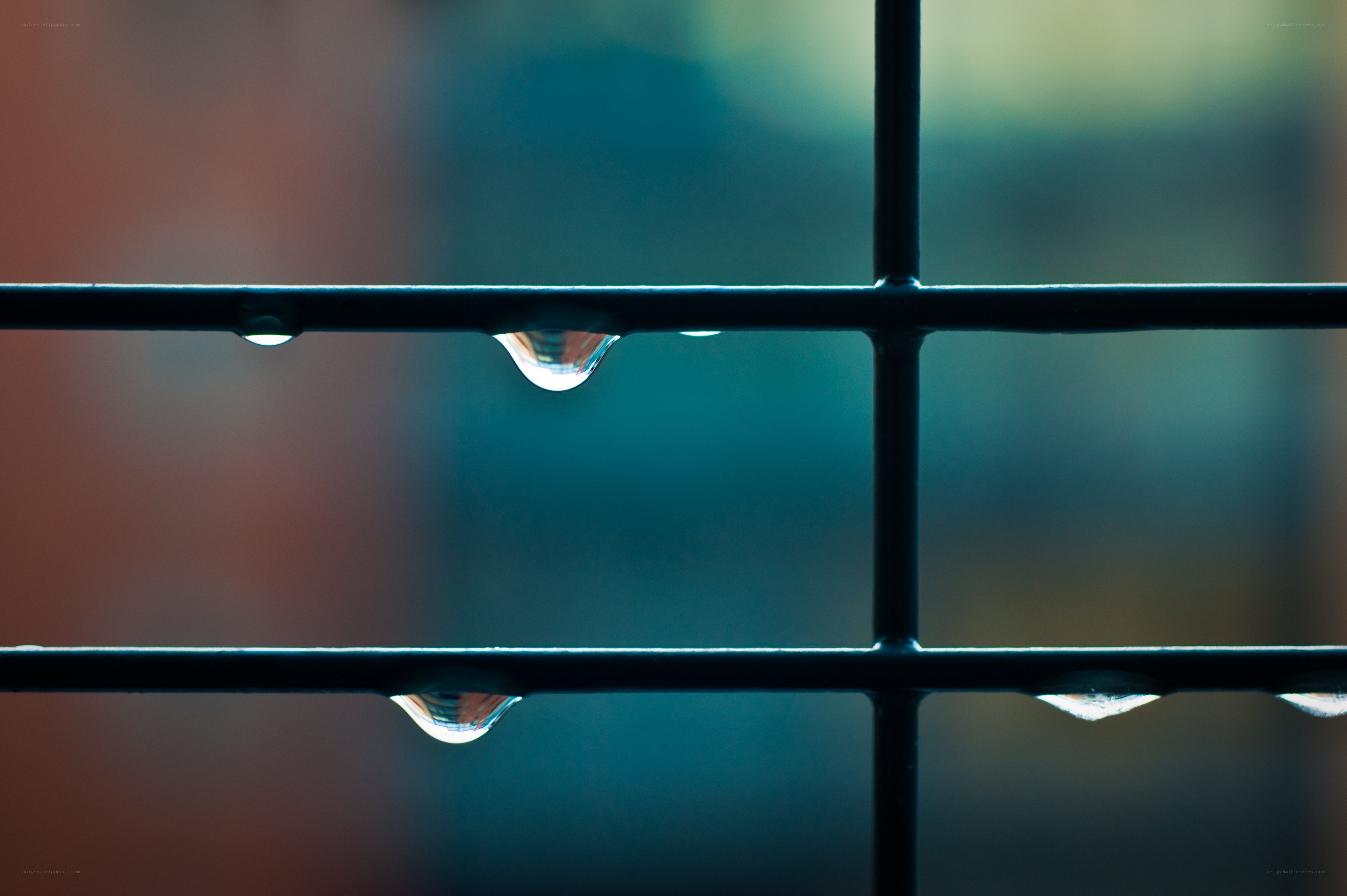Water droplets on a metal grid