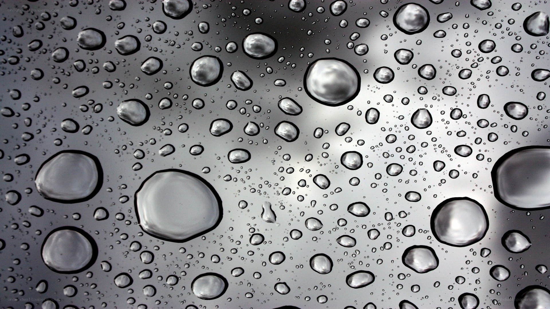 Water droplets on a metallic surface