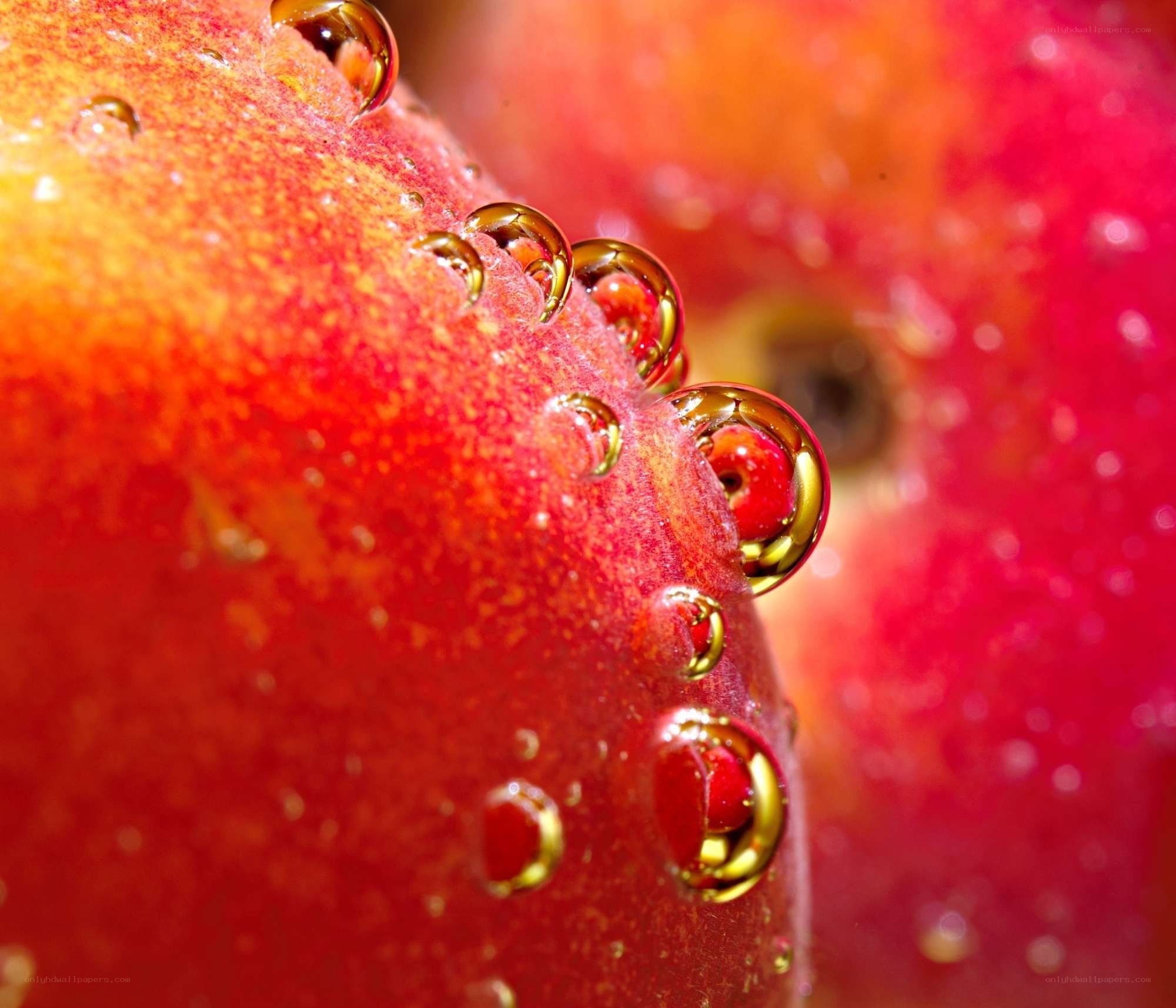 Water droplets on a peach