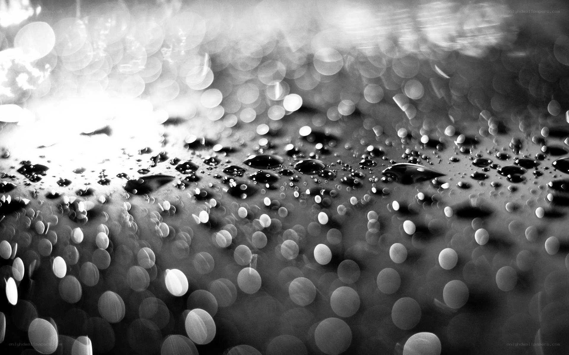 Water droplets on a reflective surface