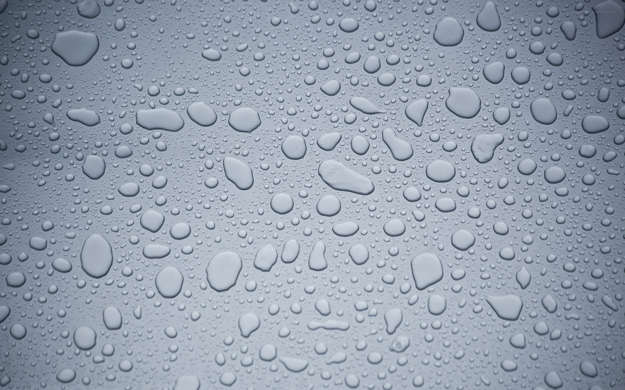 Water droplets on a surface