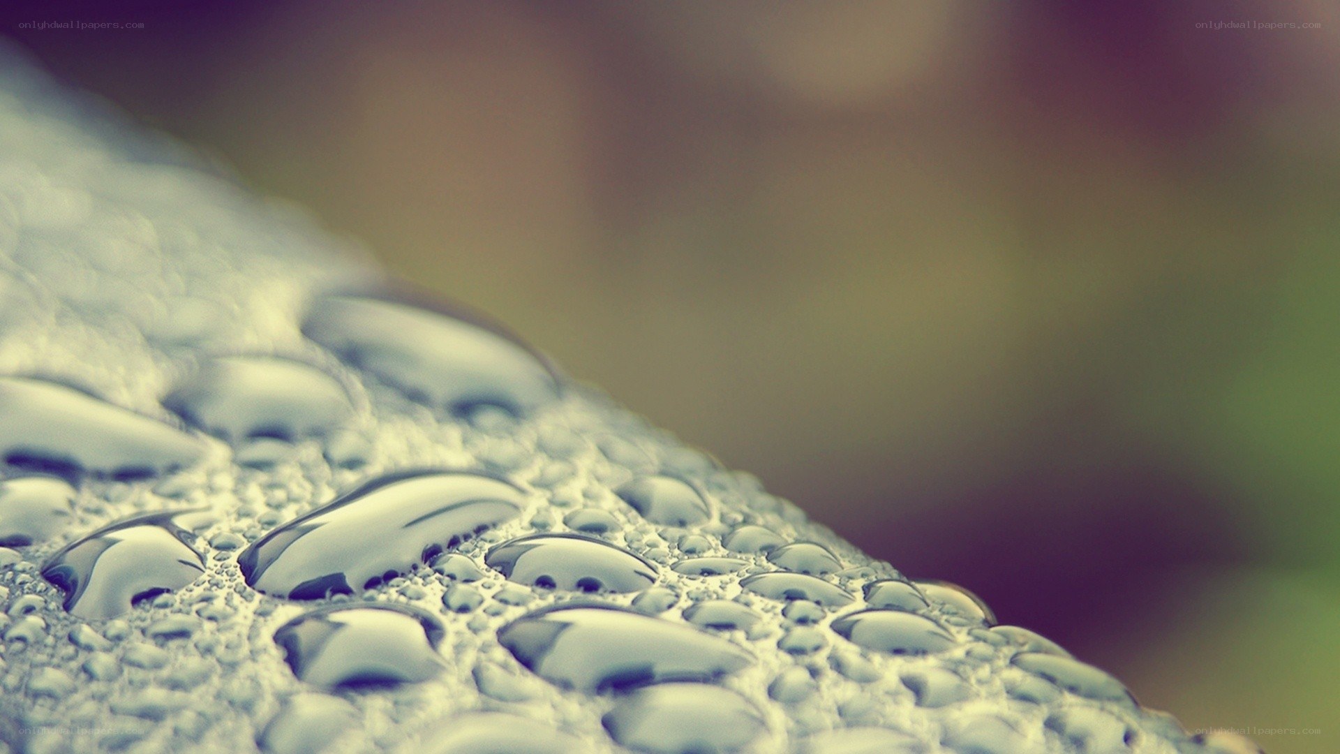 Water droplets on a surface