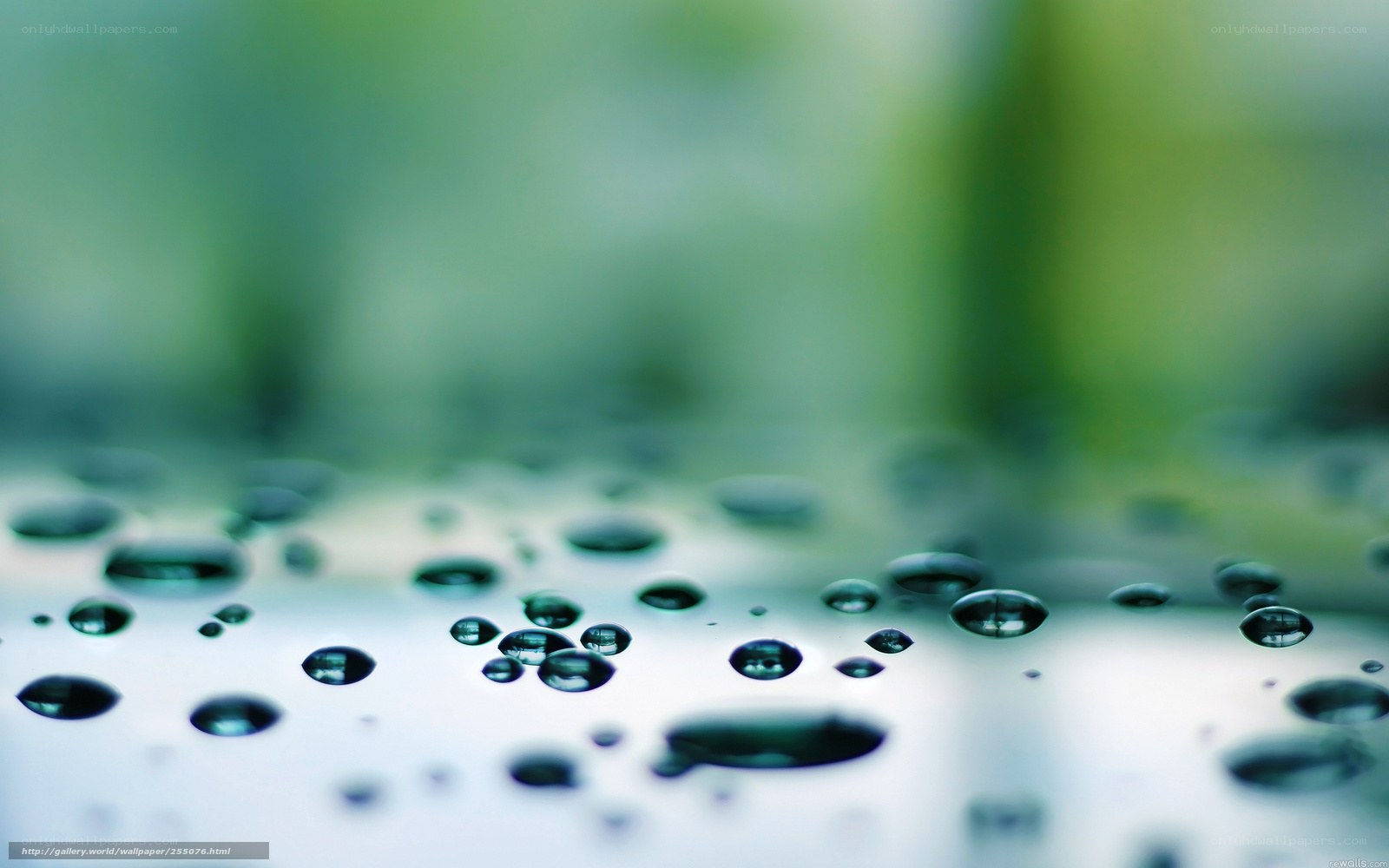Water droplets on a surface