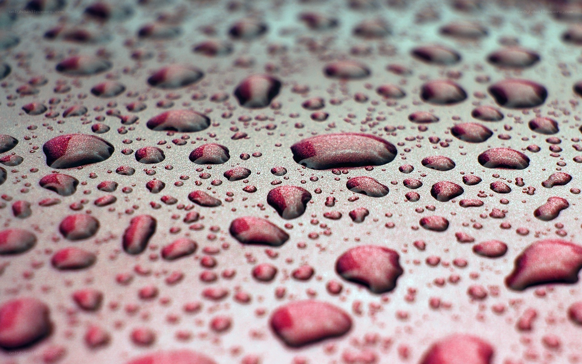 Water droplets on a surface