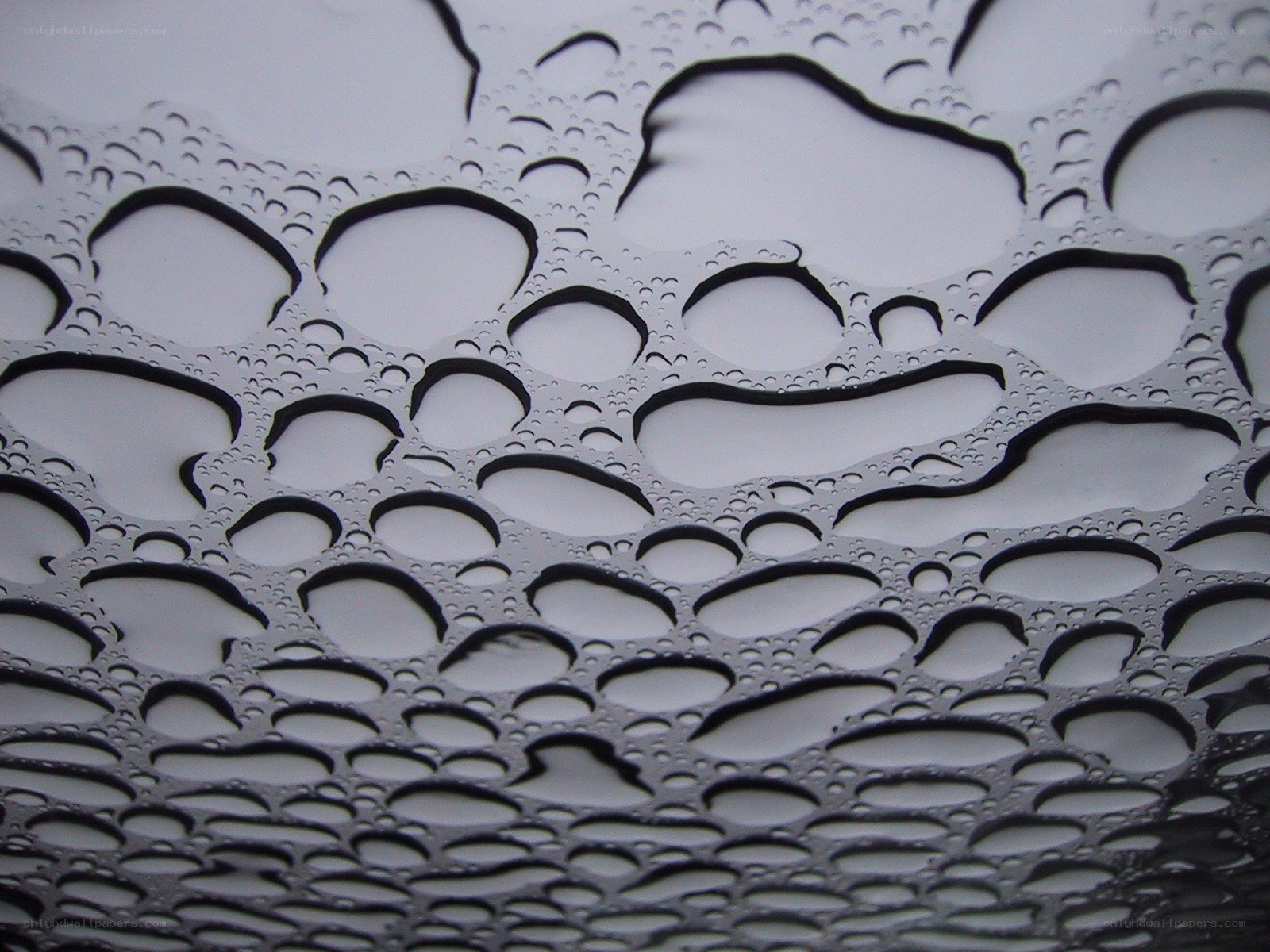 Water droplets on a surface