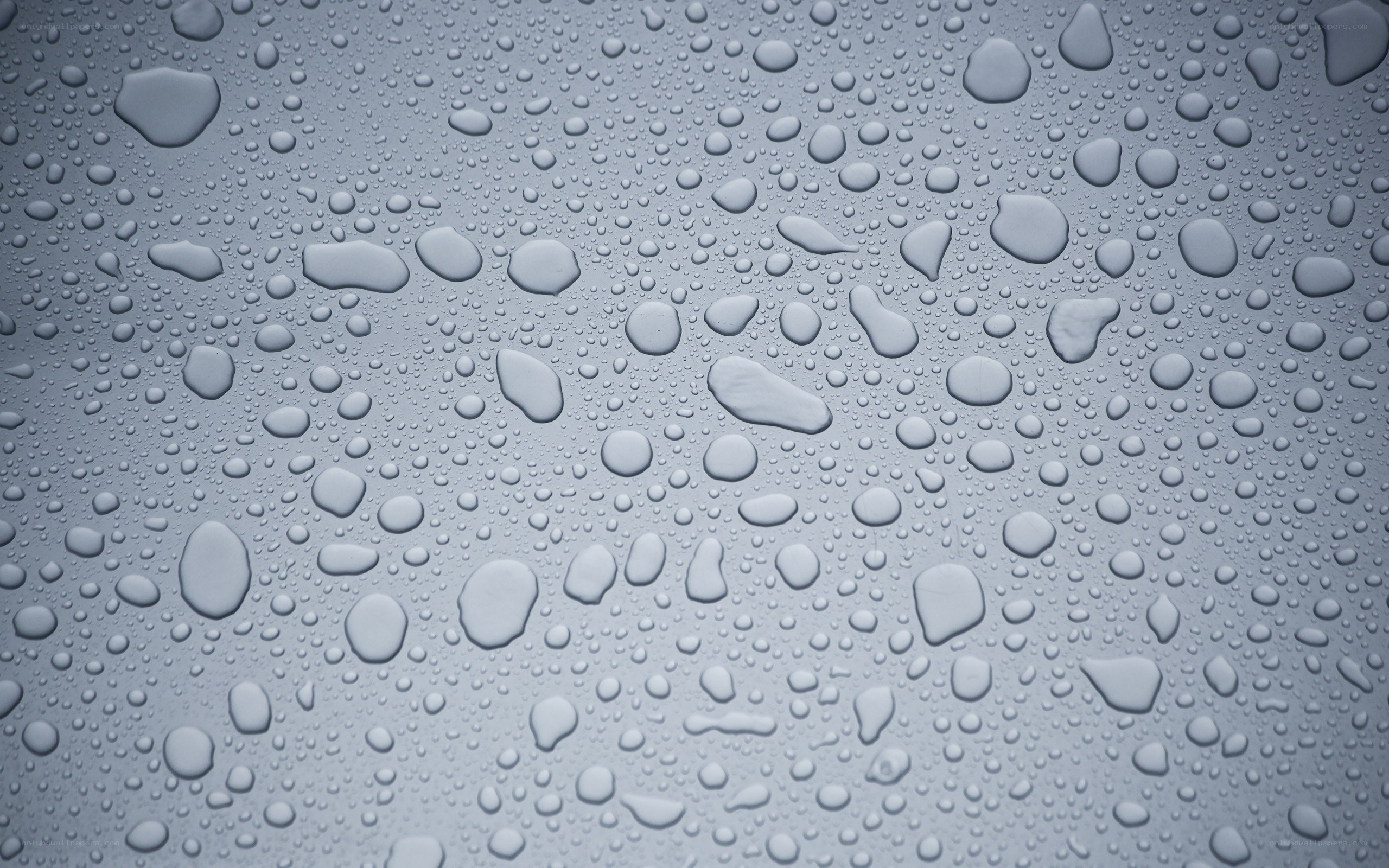 Water droplets on a surface