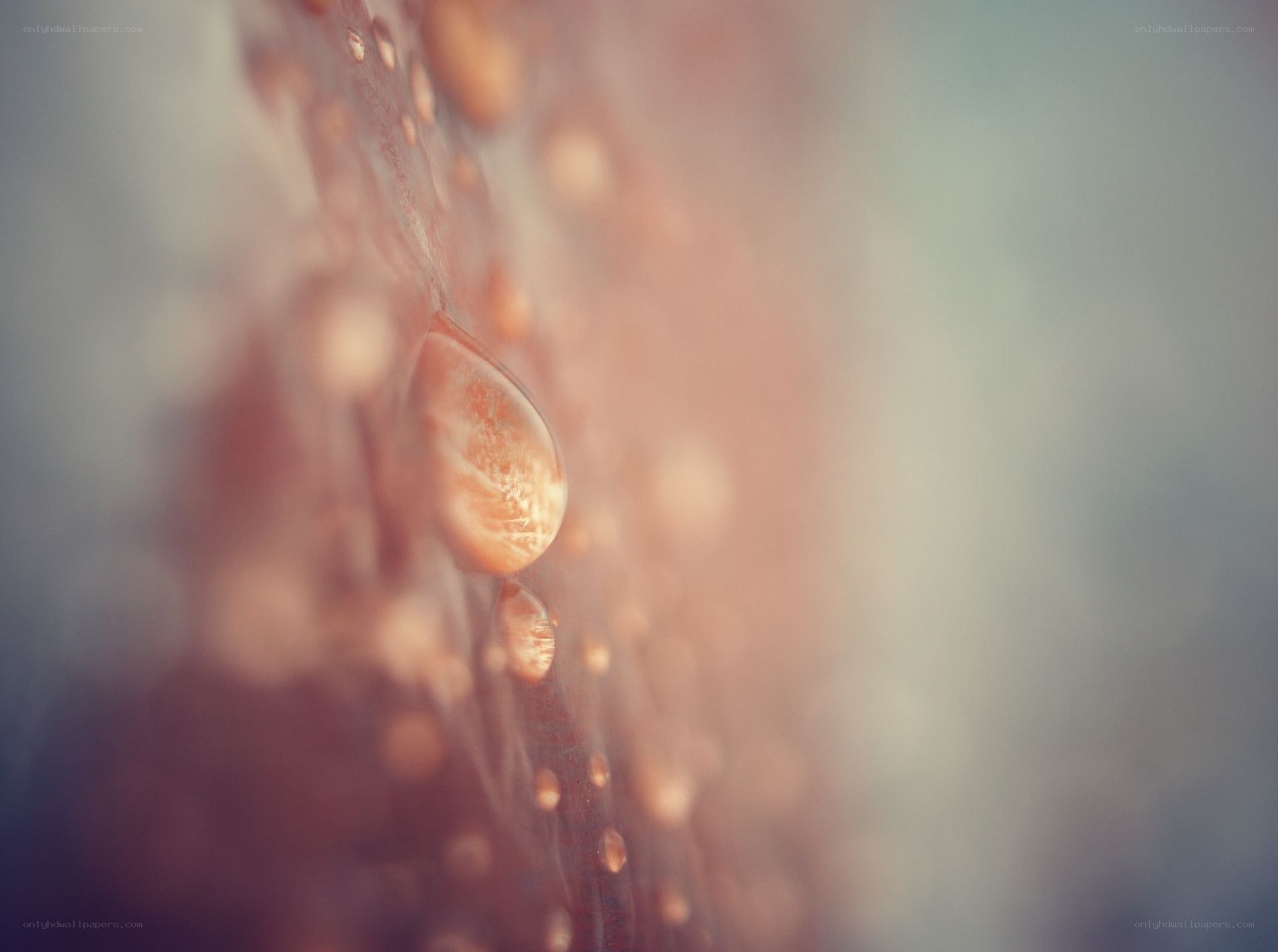 Water droplets on a surface