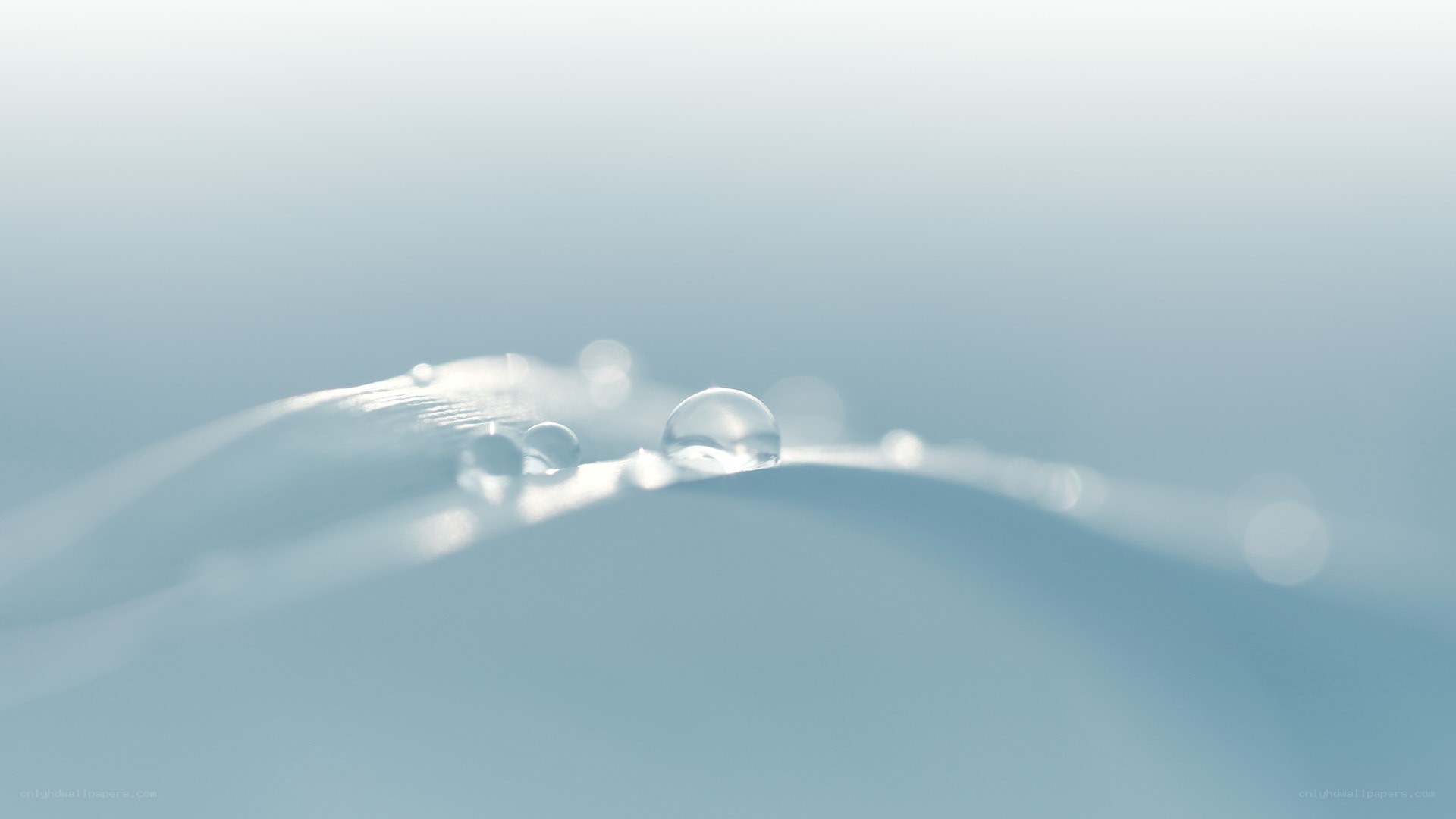Water droplets on a surface