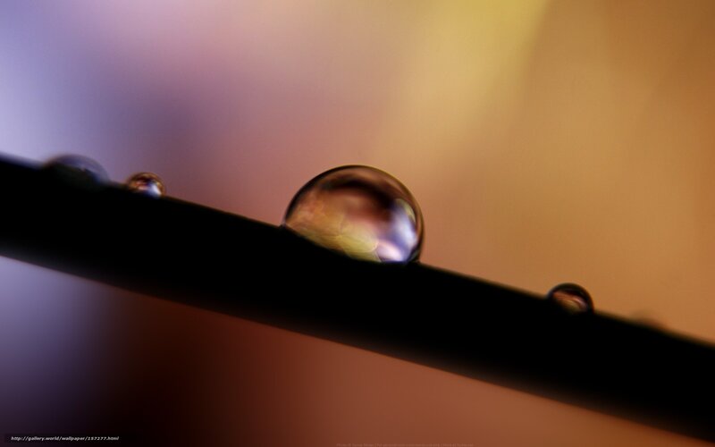 Water Droplets on a Surface — Purple