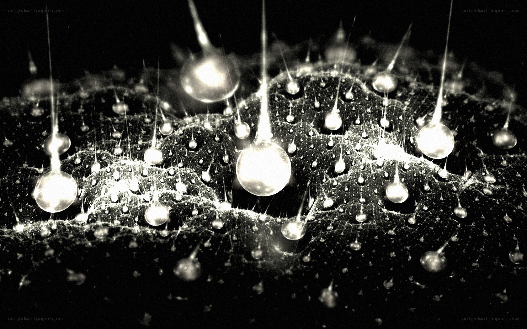 Water droplets on a web