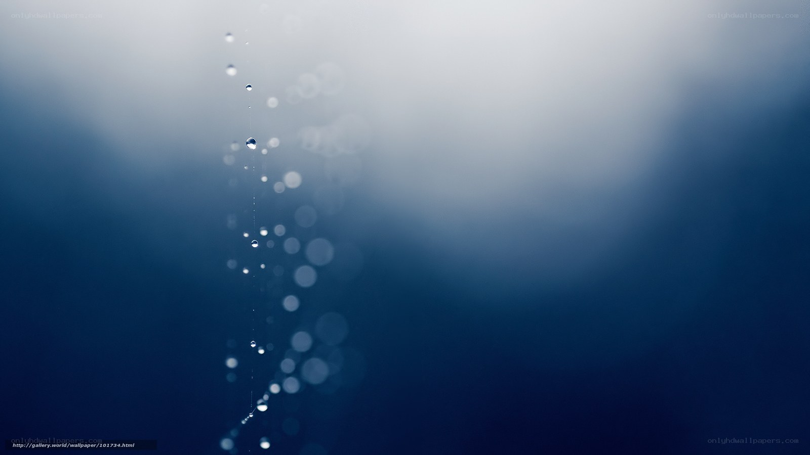 Water droplets on a web