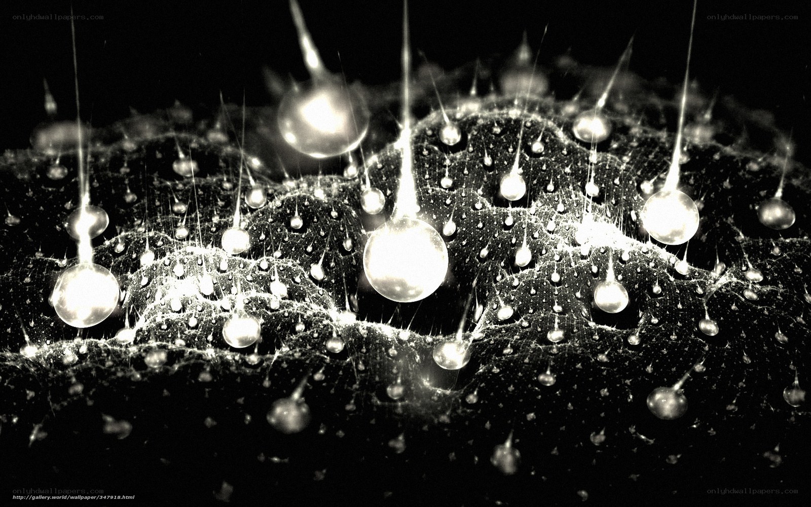 Water droplets on a web