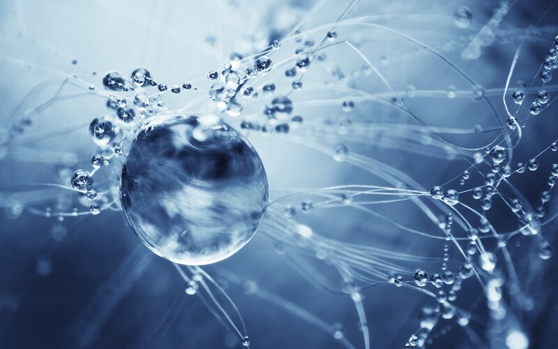 Water droplets on a web