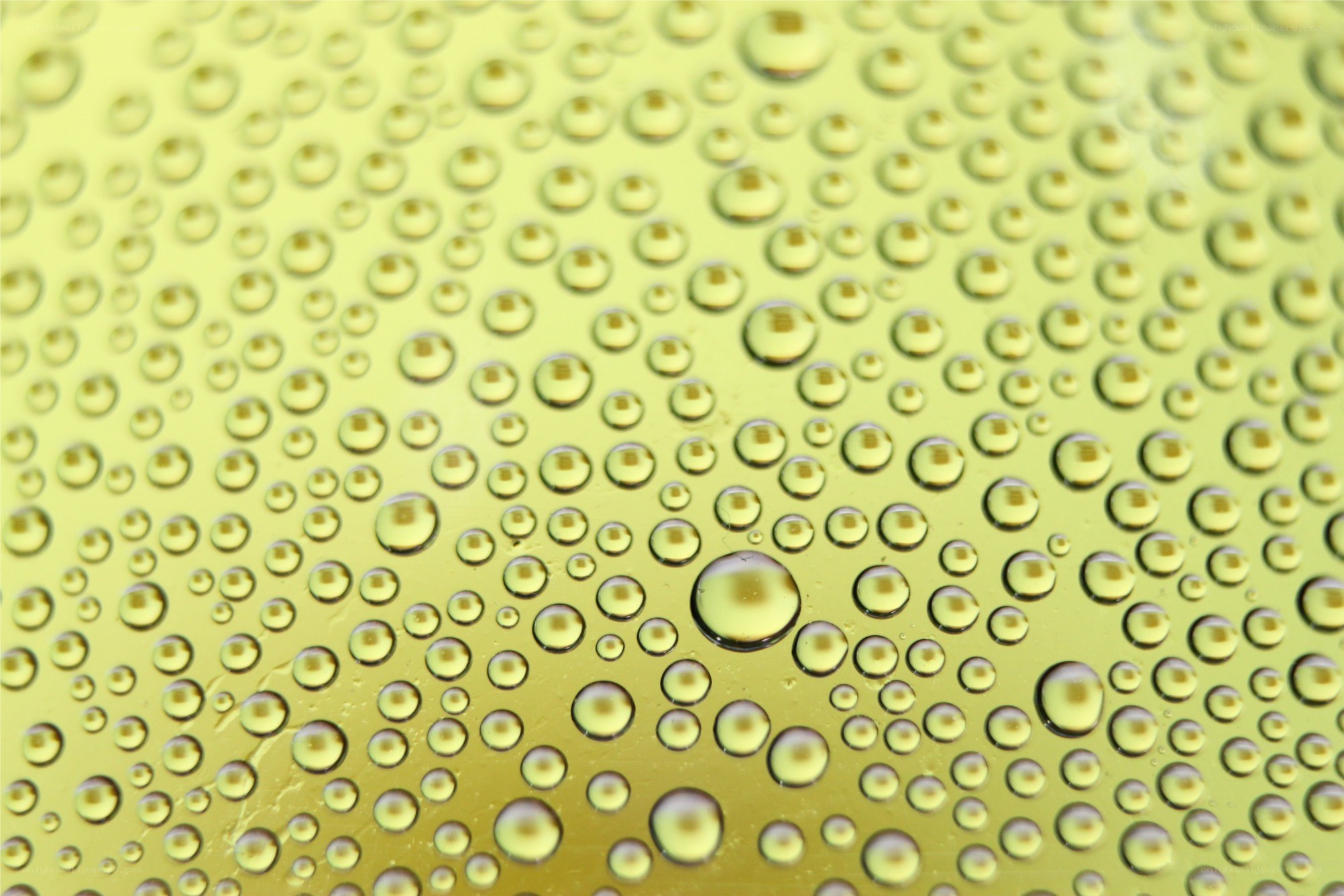 Water droplets on a yellow surface