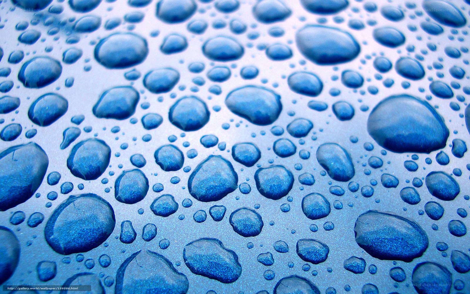 Water droplets on blue surface
