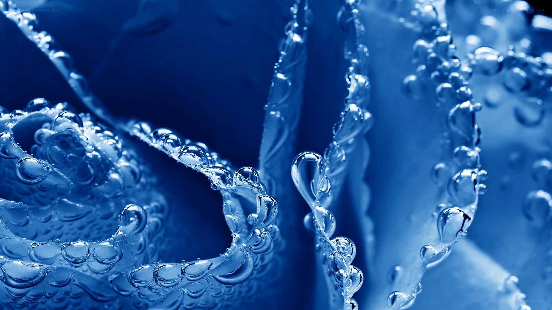 Water droplets on blue surface