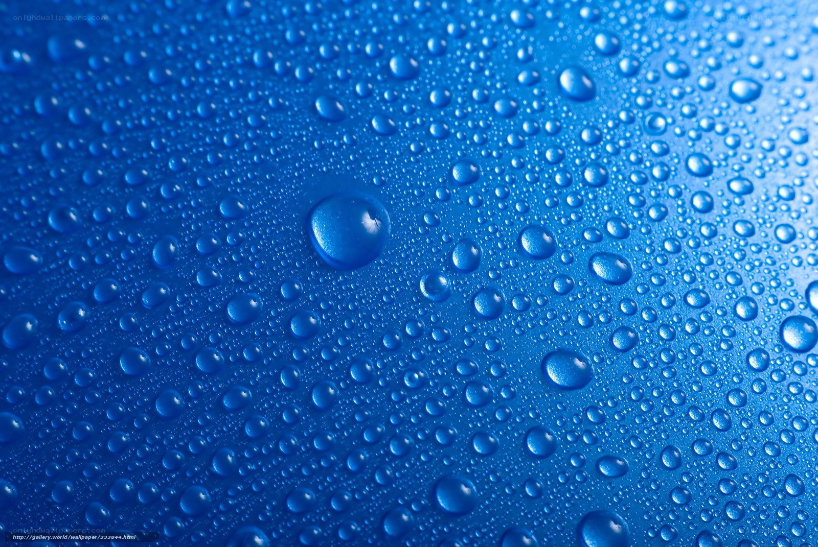 Water droplets on blue surface