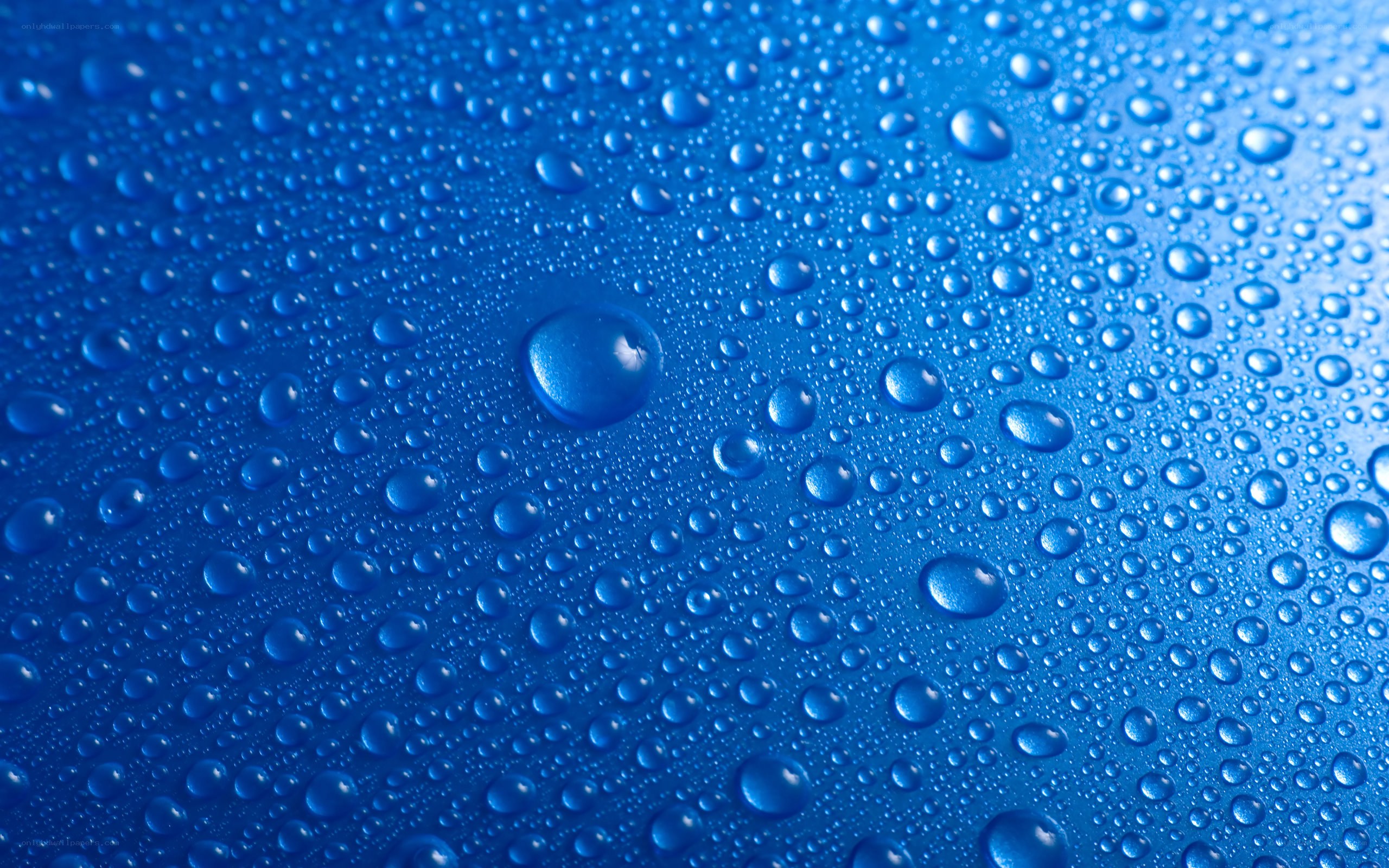 Water droplets on blue surface