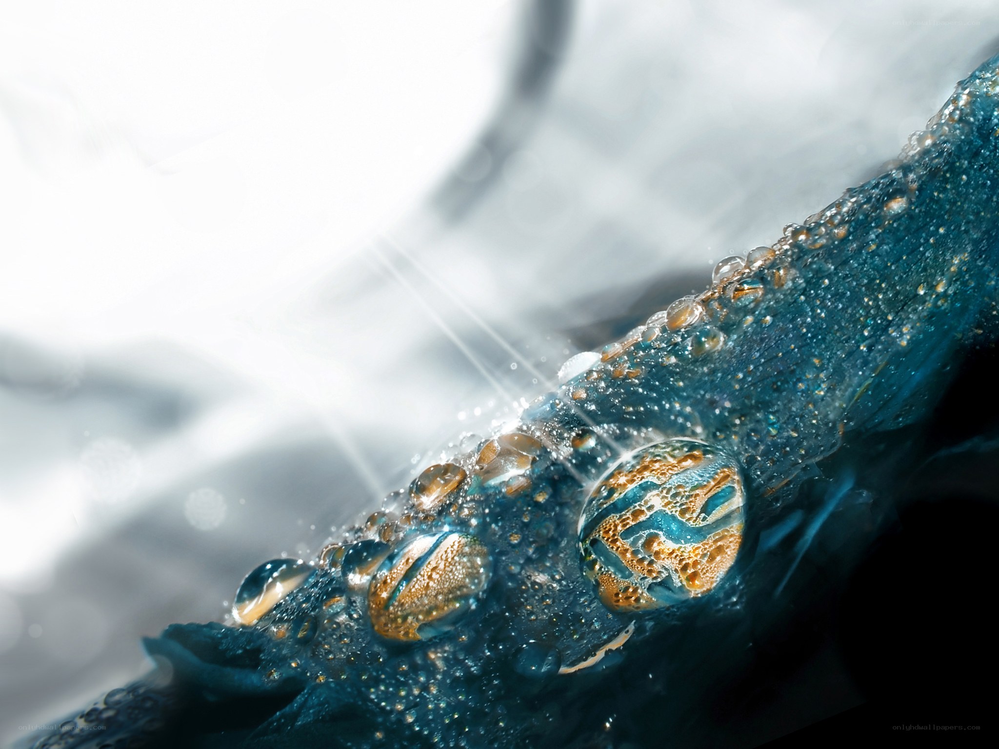 Water droplets on blue surface