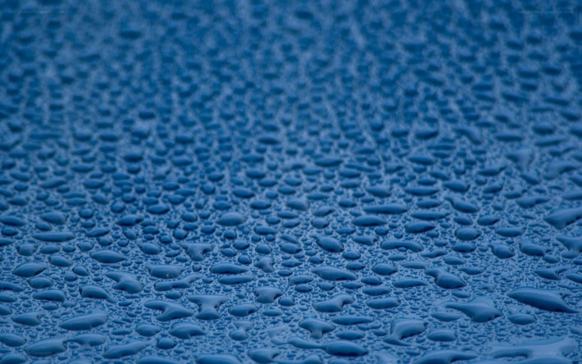 Water droplets on blue surface