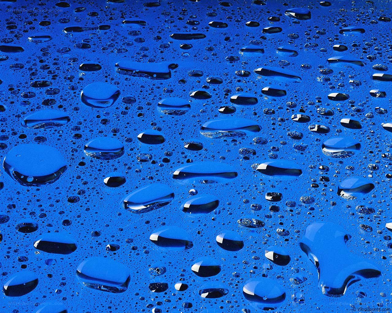 Water droplets on blue surface
