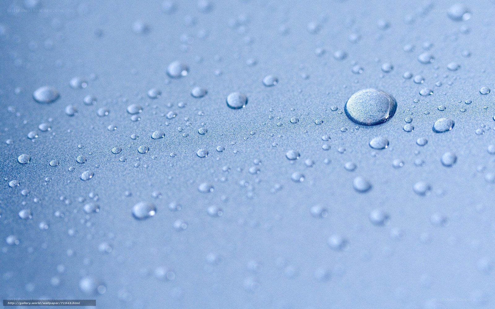 Water droplets on blue surface