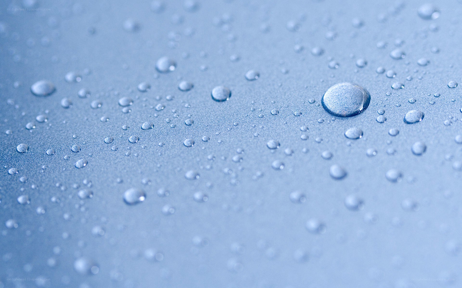 Water droplets on blue surface