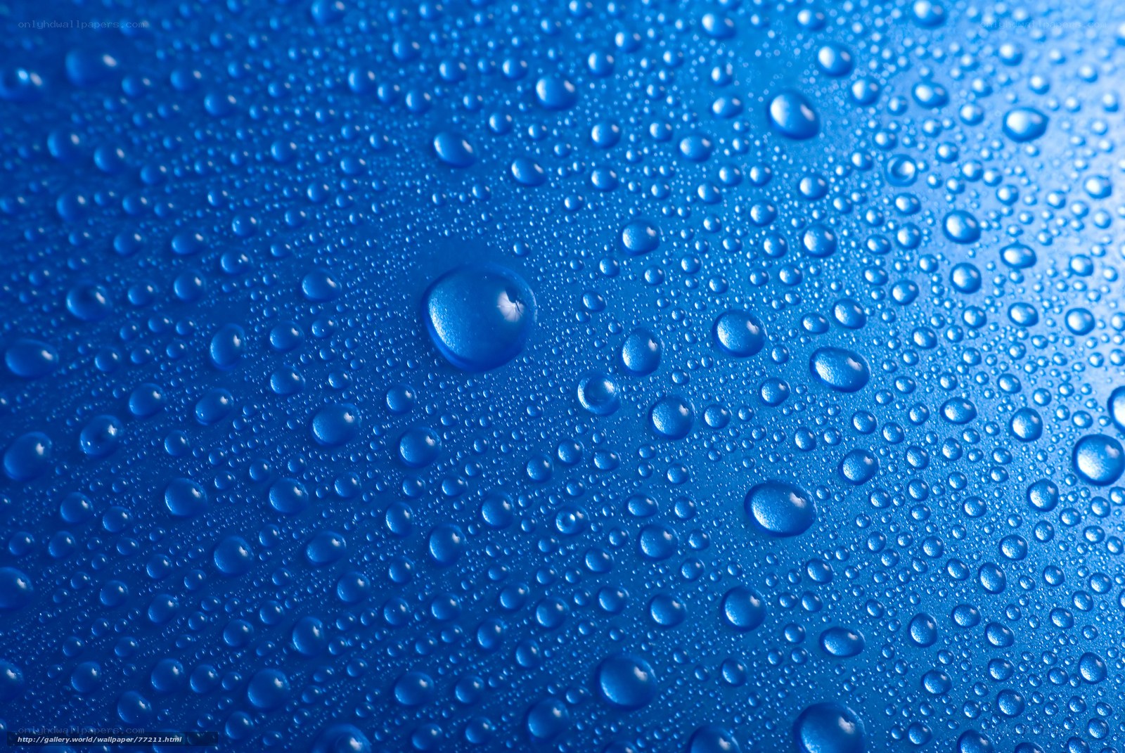 Water droplets on blue surface