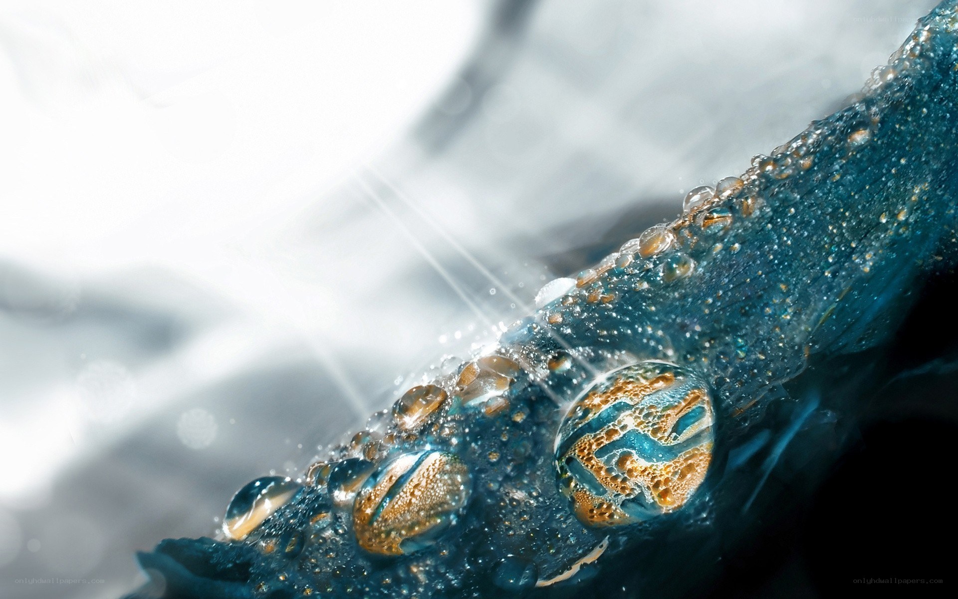 Water droplets on blue surface