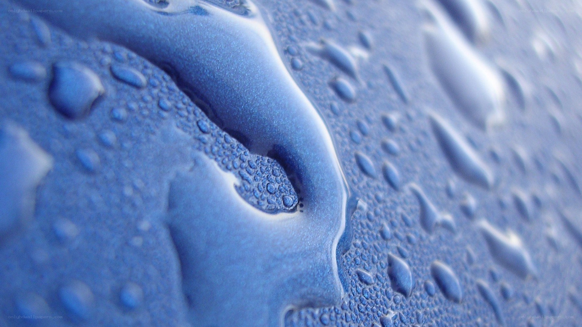 Water droplets on blue surface