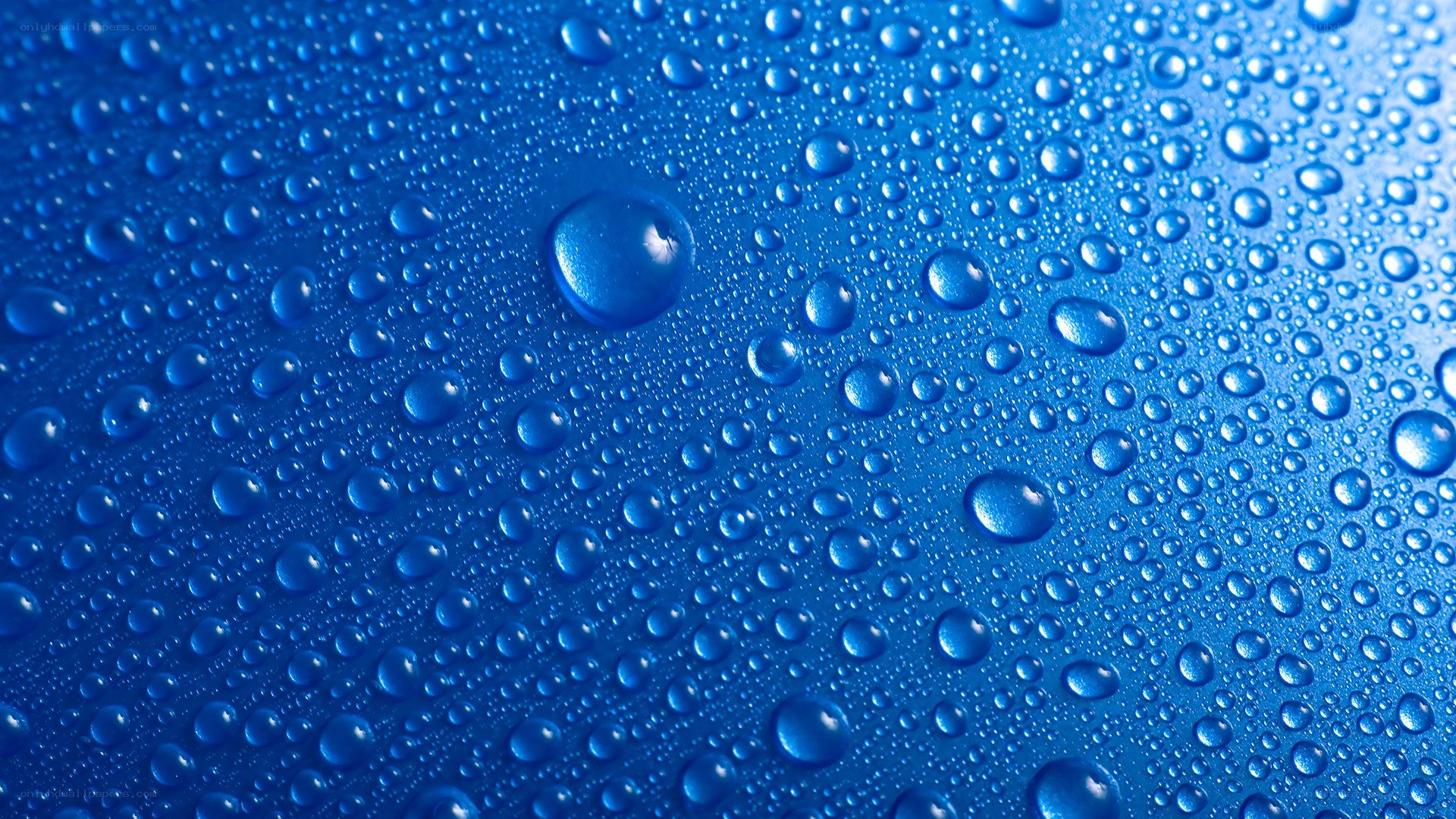 Water droplets on blue surface