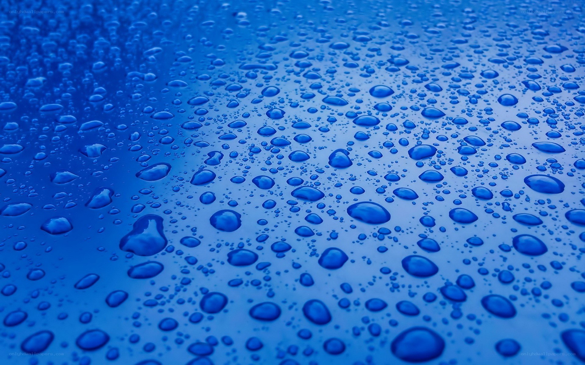 Water droplets on blue surface