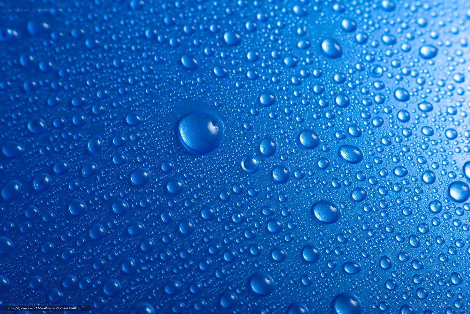 Water droplets on blue surface