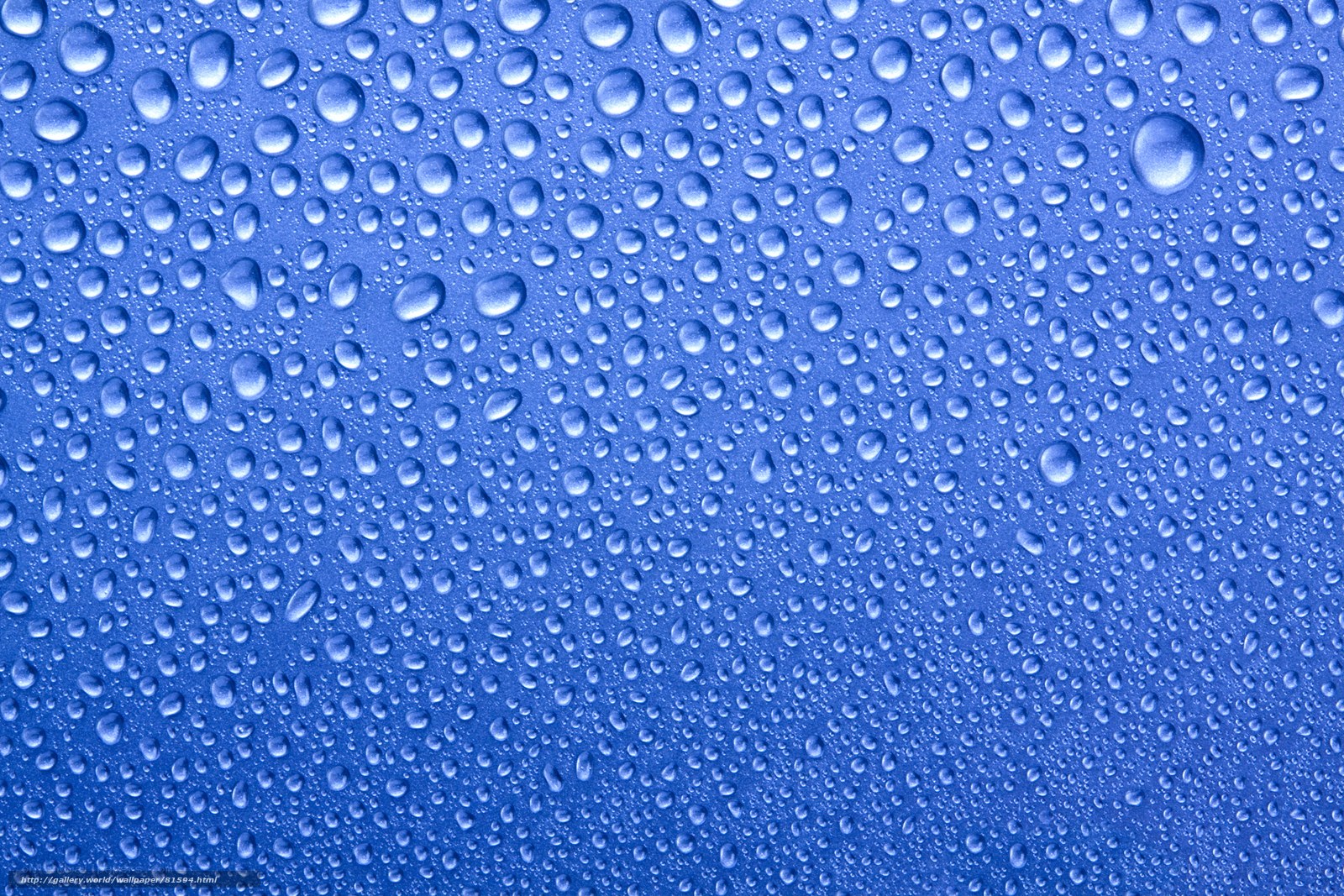 Water droplets on blue surface