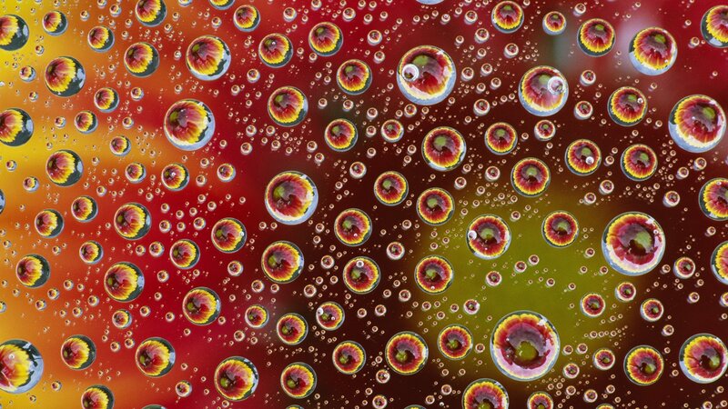 Water droplets on colorful surface