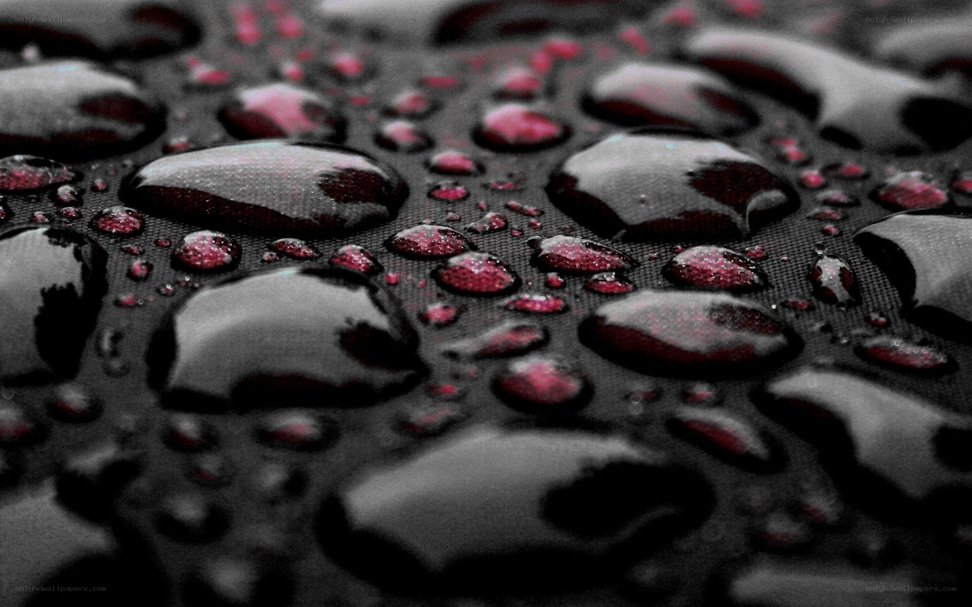 Water droplets on dark fabric