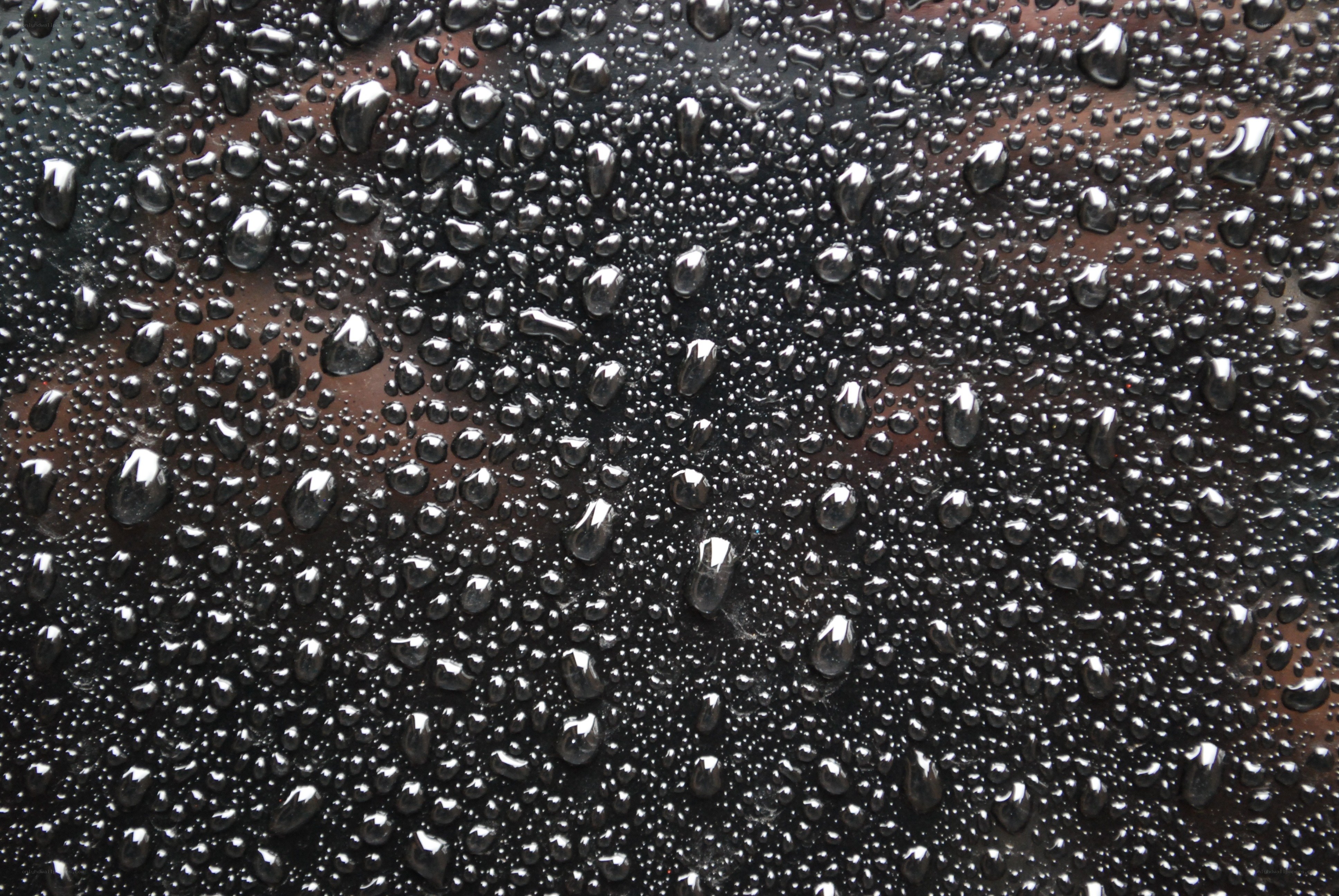 Water droplets on dark surface